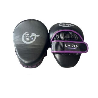 Kaizen Combat Arts Focus Mitts