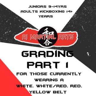 Juniors, Teens and Adult Grading Part 1