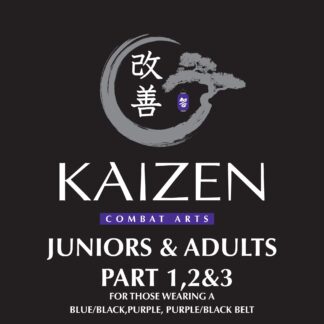 Juniors, Teens and Adult Grading Part 1,2,3