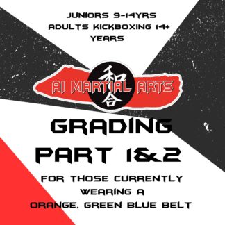 Juniors, Teens and Adult Grading Part 1&2