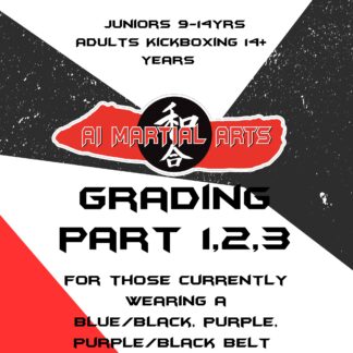 Juniors, Teens and Adult Grading Part 1,2,3