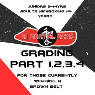 Juniors, Teens and Adult Grading Part 1,2,3,4