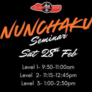 Nunchaku Seminar Level 1, 2 & 3