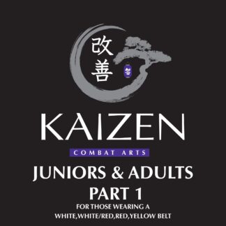 Juniors, Teens and Adult Grading Part 1