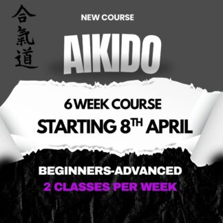 Aikido 6 Week Course 14+ years