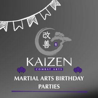Kaizen Martial Arts Birthday Parties